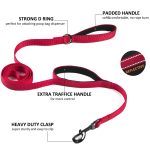 Heavy Duty Dog Leash for Medium to Large Dogs with Two Padded Handles 4FT