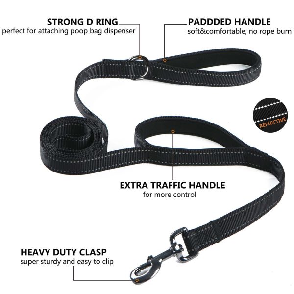 Heavy Duty Dog Leash for Medium to Large Dogs with Two Padded Handles 4FT/6FT